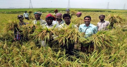 কৃষিঋণ বিতরণে রেকর্ড 
