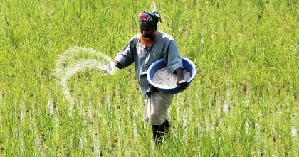 কৃষি খাতের উন্নয়নে ৭৮১ কোটি টাকা দিচ্ছে এডিবি